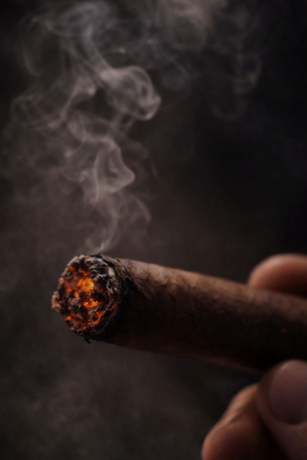 A lit cigar and smoke in a calm setting